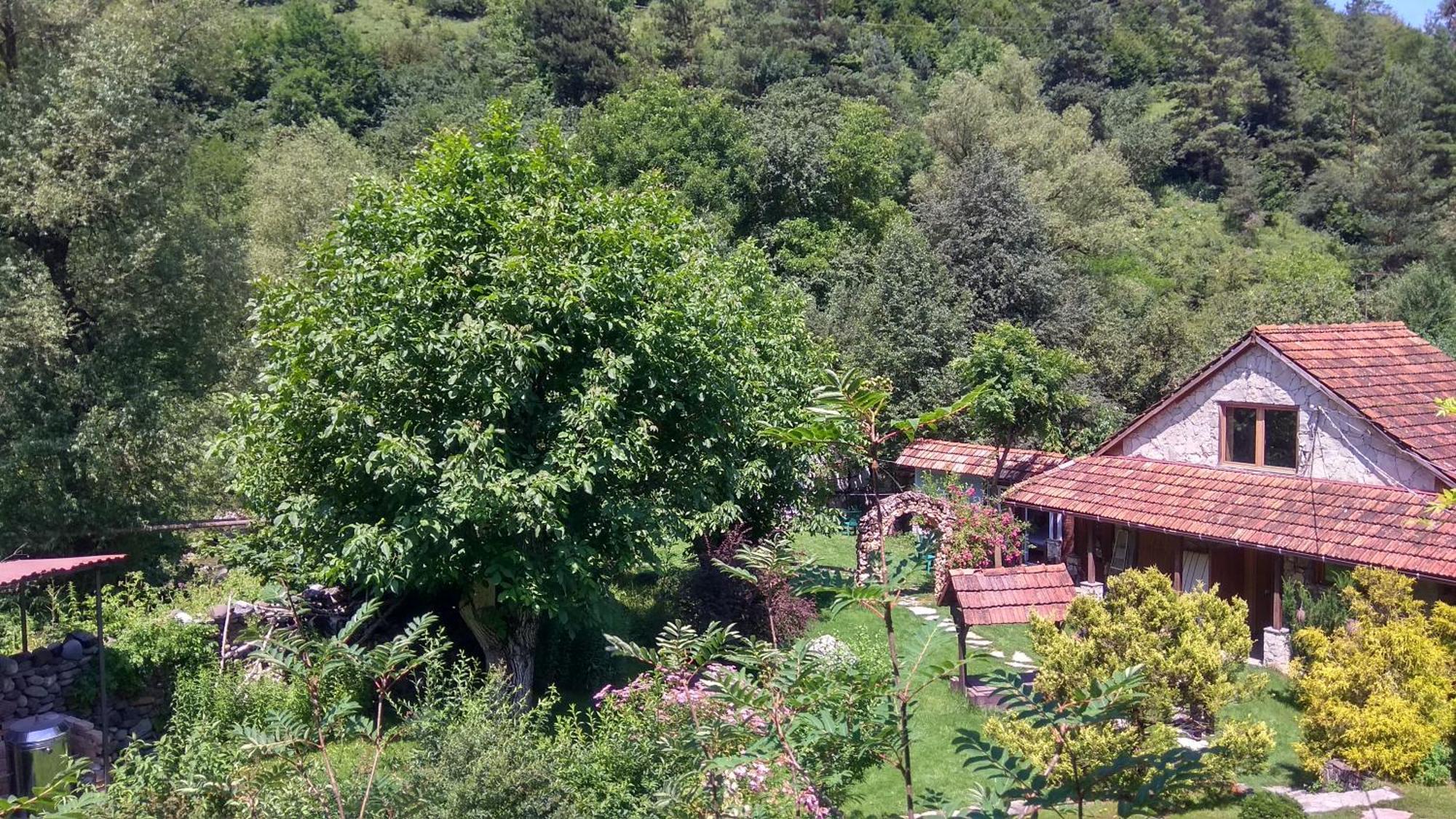 Bed and Breakfast Eco Garden à Dilidjan Extérieur photo